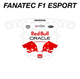 RB 2025 Japan GP F1 Livery