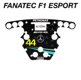 44 2023 AMG Petronas Mercedes F1 Livery