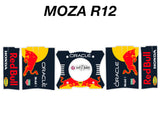 World Champion RB 2023 F1 Livery