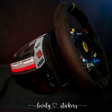 RSR Porsche 2019 Livery