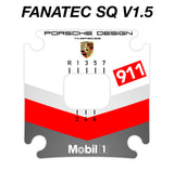 RSR Porsche 2019 Livery