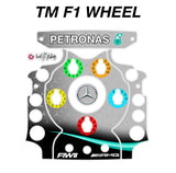 2019 AMG Petronas Mercedes F1 Livery