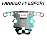 2022 AMG Petronas Mercedes F1 Livery