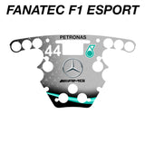 2019 44 AMG Petronas Mercedes F1 Livery
