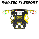 Printed Carbon Audi R8 GT3 "Replica" Livery