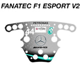 2019 44 AMG Petronas Mercedes F1 Livery