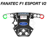 Printed Carbon Ford Cosworth Livery