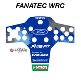 WRC Ford Fiesta MS-RT 2020 Livery
