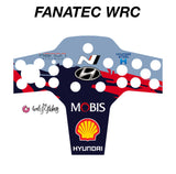 Hyundai i20 WRC Rally Livery