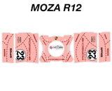 Pink Pig 917 Porsche Classic Livery