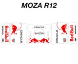 RB 2025 Japan F1 Livery