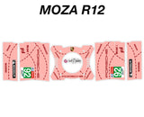 Pink Pig RSR Porsche 2017 Livery