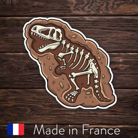 Cute T Rex Skeleton - Dinosaure